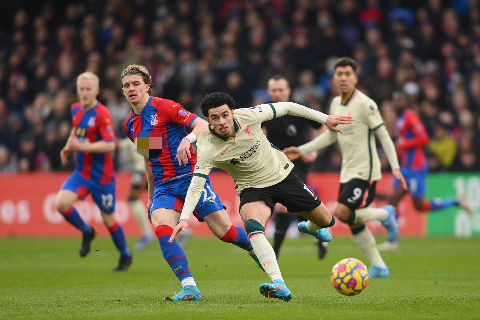 疑展现了良 疑展现了良