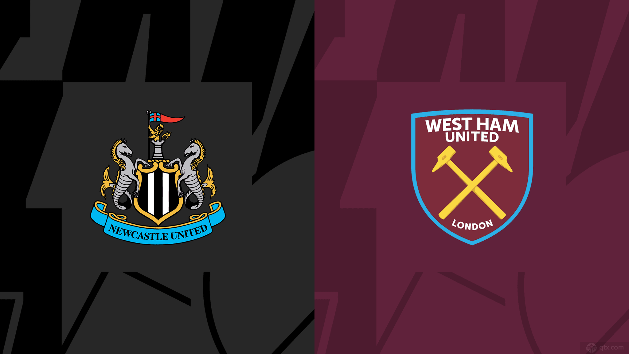 迷的喜愛 迷的喜愛