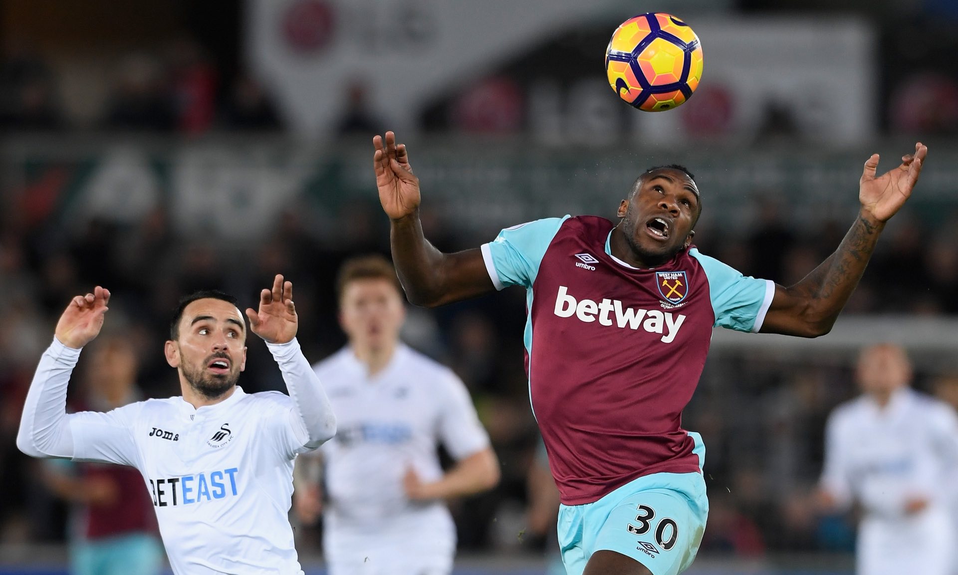 字的场地里 字的场地里